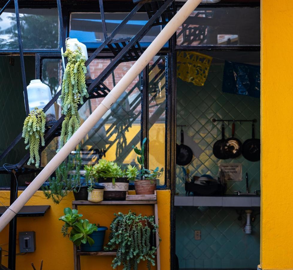 Hostal Pochon Oaxaca Exterior photo