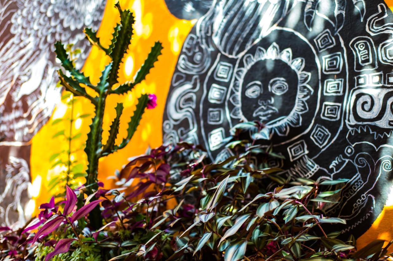Hostal Pochon Oaxaca Exterior photo