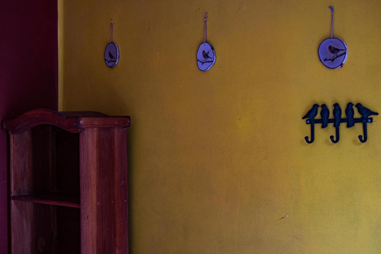 Hostal Pochon Oaxaca Exterior photo
